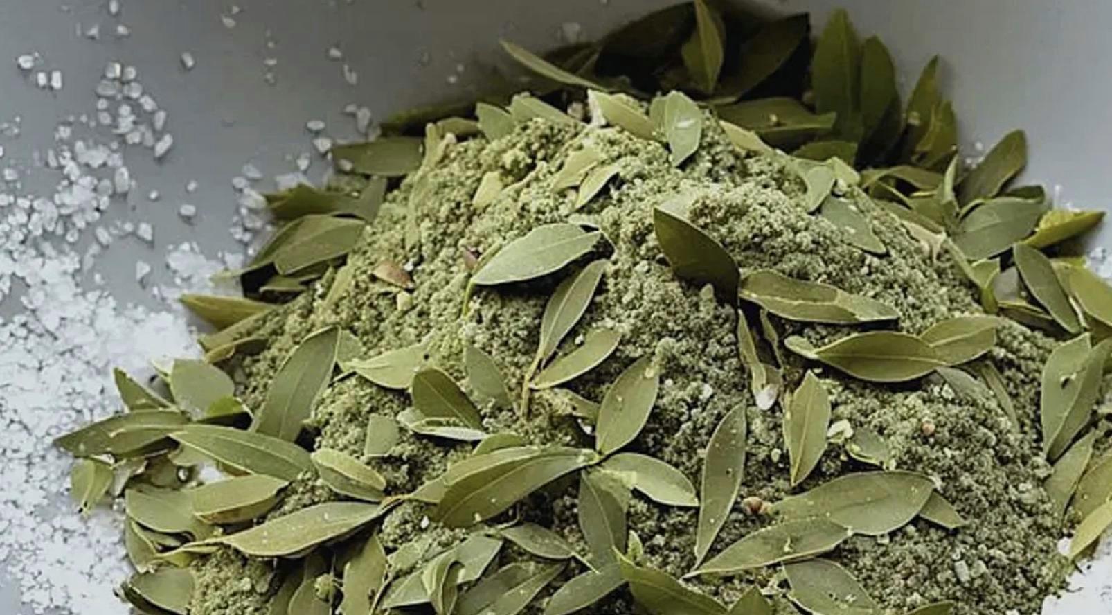 Extrato de erva-cidreira